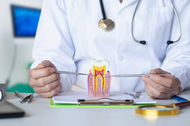 Best Emergency Gum Treatment in Williamsburg, PA